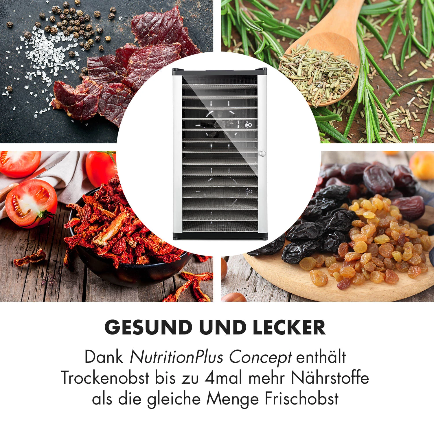 Fruit Jerky 14 Dörrautomat 7 Fruit Jerky 14 Dörrautomat – Bild 5