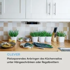 [Wiederverpackt] KR-140 Bluetooth Küchenradio -KLarstein Verkaufsgeschäft 10032852 de 0002 logo 1