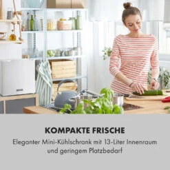 [Gebraucht] Secret Cool Mini-Kühlschrank -KLarstein Verkaufsgeschäft 10033703 de 0002 logo