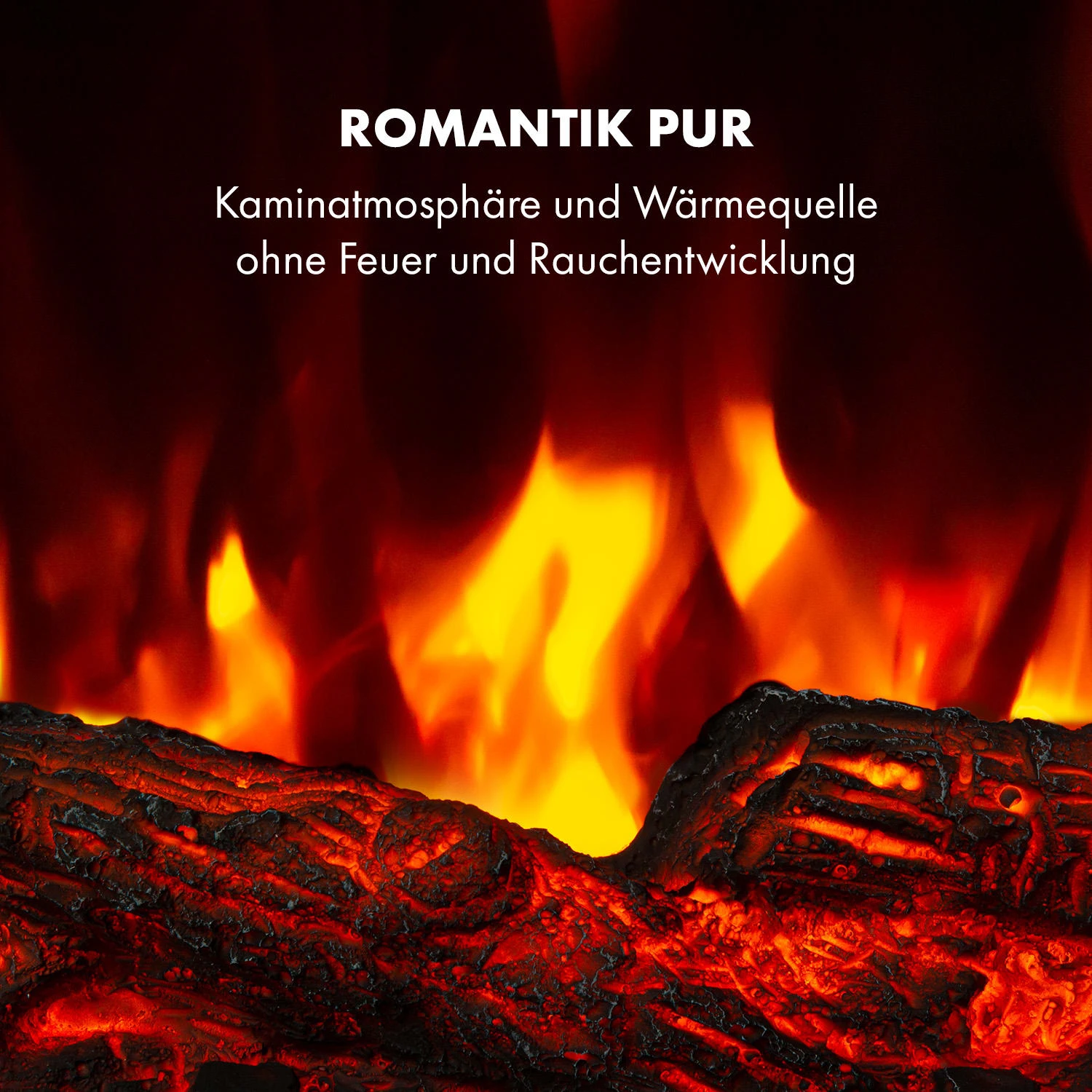 Bern Elektrokamin 6 Bern Elektrokamin – Bild 4