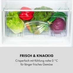 Cool Cousin Kühl-Gefrier-Kombination -KLarstein Verkaufsgeschäft 10034547 de 0006 logo