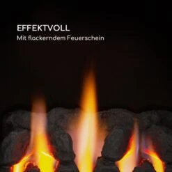 Andora Flame Gasheizofen -KLarstein Verkaufsgeschäft 10035407 de 0003 logo 1