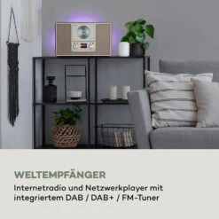 [Wiederverpackt] Scala VCD-IR Internetradio -KLarstein Verkaufsgeschäft 10035428 de 0009 logo