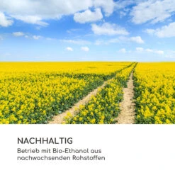 Fiamme Cantal Ethanol-Kamin -KLarstein Verkaufsgeschäft 10036078 de 0009 logo