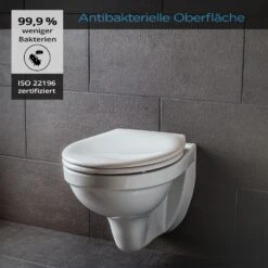 [Gebraucht] Kaiana Toilettendeckel -KLarstein Verkaufsgeschäft 10036248 de 0003 logo