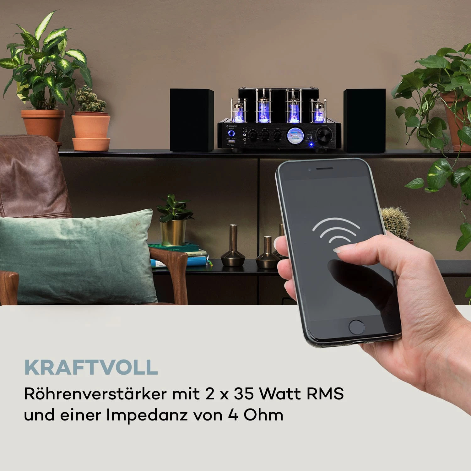 Amp VT Röhrenverstärker 4 Amp VT Röhrenverstärker – Bild 2