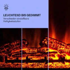 Beerenberg Elektrokamin -KLarstein Verkaufsgeschäft 10038398 de 0005 logo