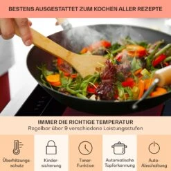 [Gebraucht] Full House Down Air System Induktionsherd + Dunstabzugshaube -KLarstein Verkaufsgeschäft 10039858 de 0006 logo