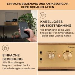 [Gebraucht] Berklee TT Classic Plattenspieler -KLarstein Verkaufsgeschäft 10040458 de 0004 usp