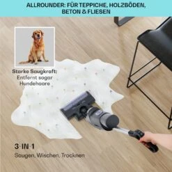 Caswell Plus Nass-/Trockensauger -KLarstein Verkaufsgeschäft 10041383 de 0004 usp 1