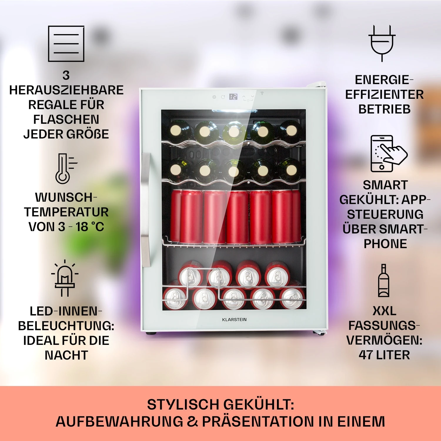 Coachella 60 Kühlschrank 4 Coachella 60 Kühlschrank – Bild 2