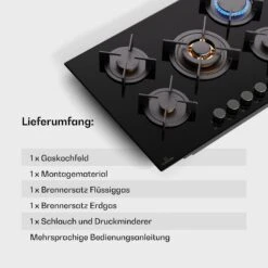 [Wiederverpackt] Goldflame 5 Gaskochfeld 5-flammig Autark -KLarstein Verkaufsgeschäft 10045626 de 0008 usp