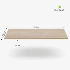 [Gebraucht] Bearsdon Tischplatte 200 X 100 Cm -KLarstein Verkaufsgeschäft 10045738 yy 0011 dimensions