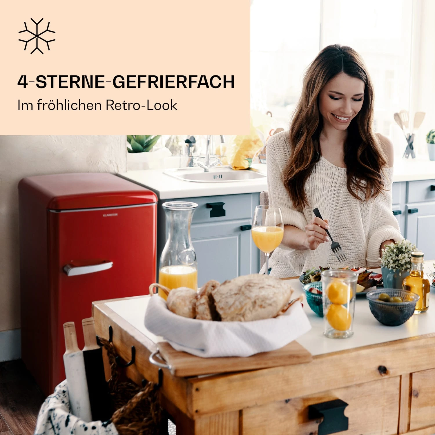 Laika 60L Gefrierschrank 4 Laika 60L Gefrierschrank – Bild 2