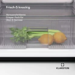 Big Daddy Cool Kühl-Gefrierkombination -KLarstein Verkaufsgeschäft 10045851 de 0006 usp